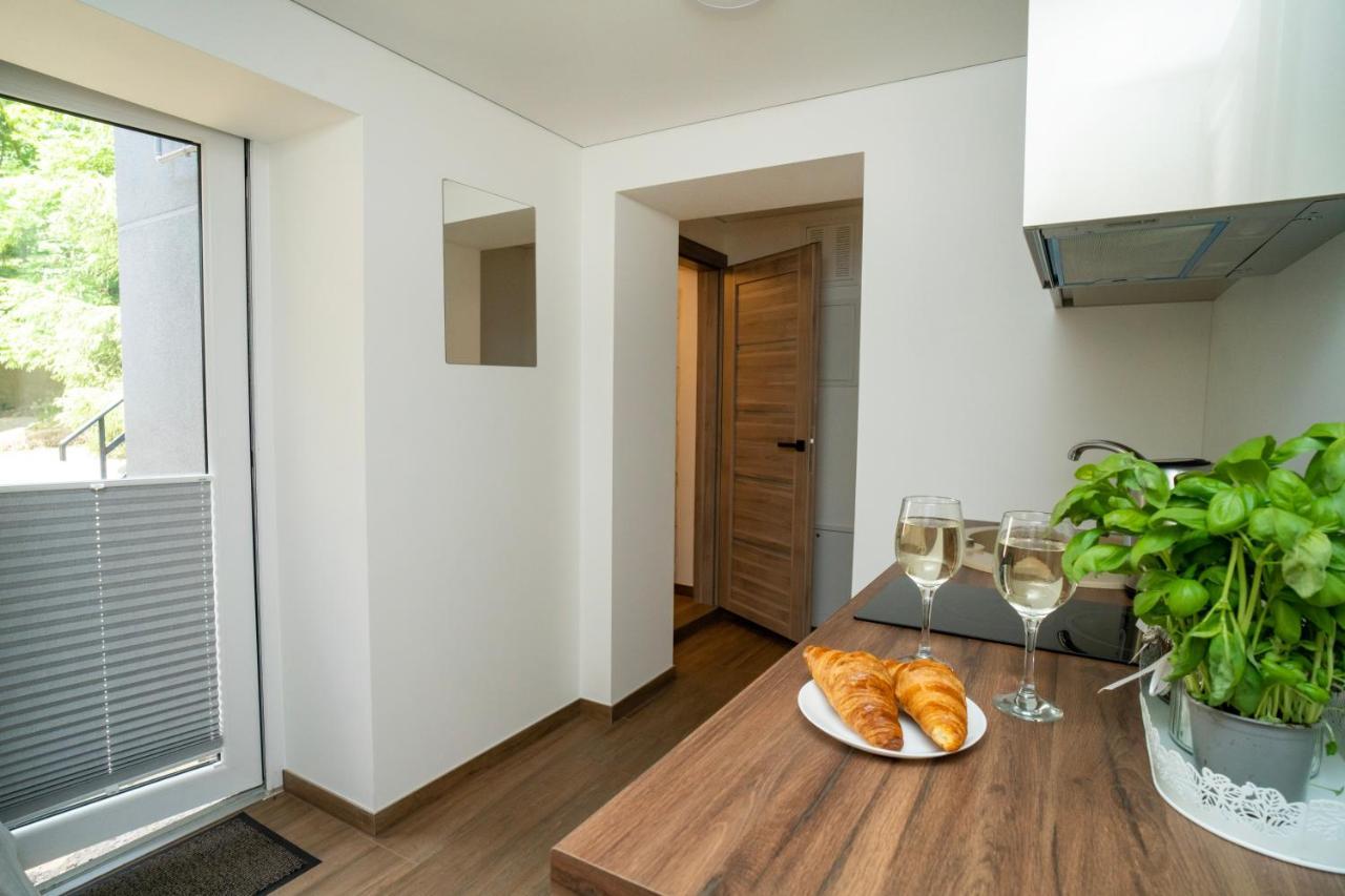 Downhill Apartment On The Groundfloor Kaunas Eksteriør bilde
